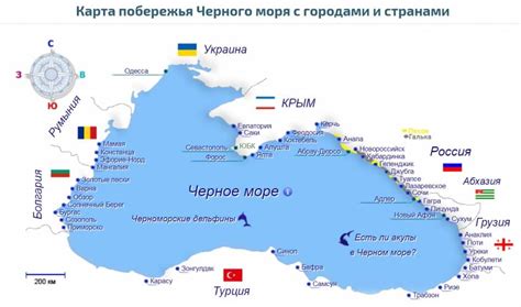 индикаторы чистоты черного моря